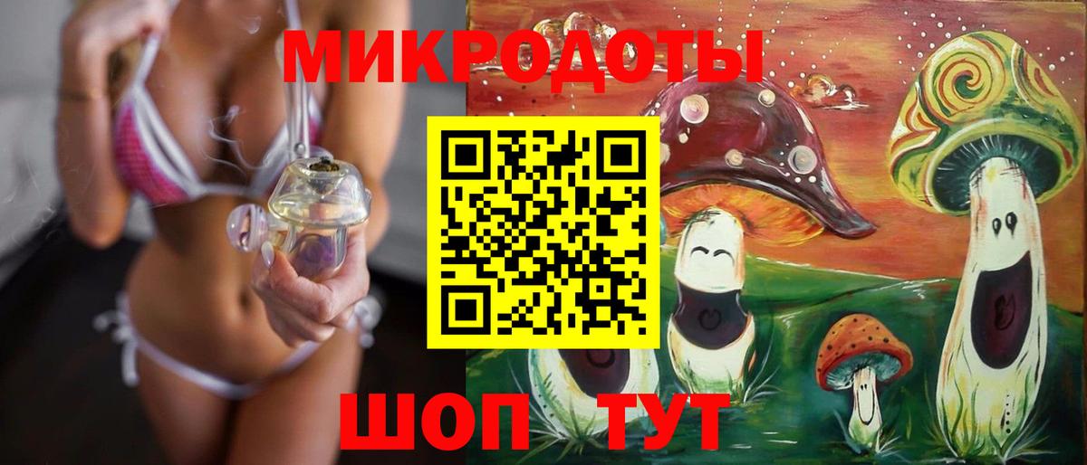 Грозный  Псилоцибиновые грибы Psilocybine cubensis  Галлюциногенные грибы прущие грибы  Вход с VPN 